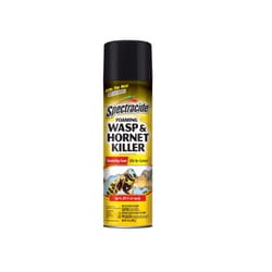 Spectracide Wasp and Hornet Killer Foam 14 oz