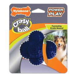 Nylabone Power Play Blue Rubber Ball Dog Toy Large 1 pk