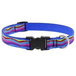 Lupine Pet Original Designs Multicolored Ripple Creek Nylon Dog Adjustable Collar
