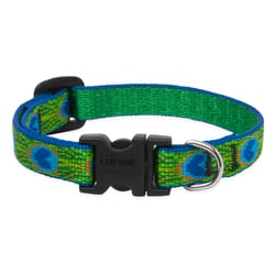 Lupine Pet Original Designs Multicolor Tail Feathers Nylon Dog Adjustable Collar