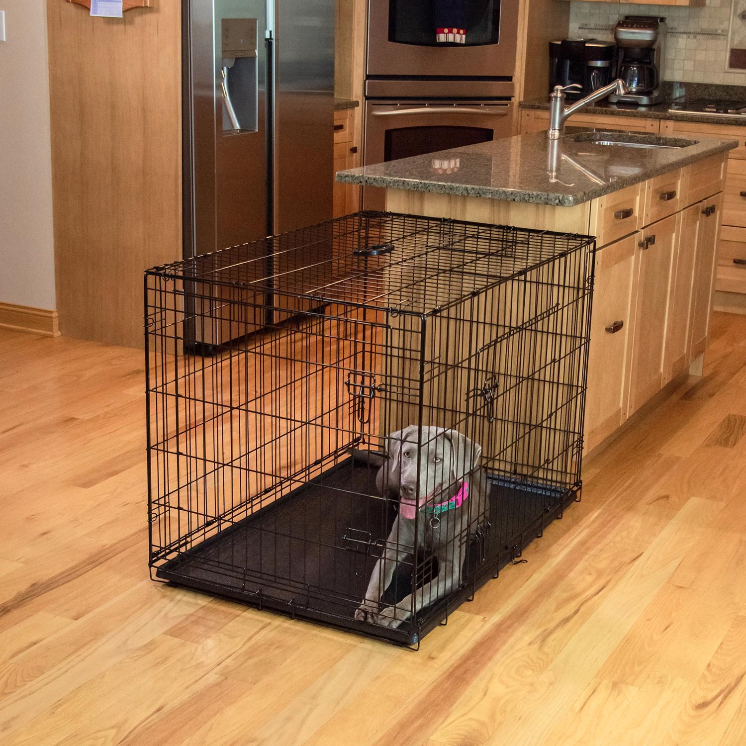 Pet Essentials Medium Steel Dog Crate Black 26 in. H X 24 in. W X 36 in. D Mfr 6109PG Ace Hardware