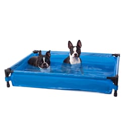 K&H Pet Prodcuts Blue Dog Pop Up Pool 1 pk