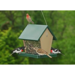 Songbird Essentials Songbird 2.5 qt Plastic Hopper Feeder Bird Feeder