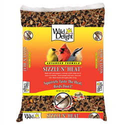 Wild Delight Sizzle N Heat Songbird Sunflower Kernels Wild Bird Food 5 lb