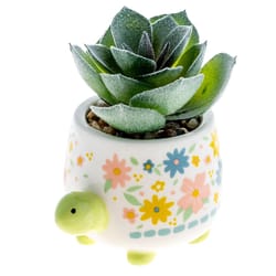 Karma 2 in. H X 2 in. W X 2 in. L Multicolored Ceramic Succulent Pot