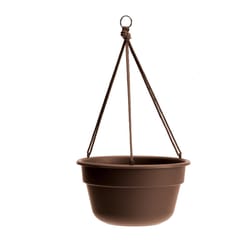 Bloem Dura Cotta 6.8 in. H X 12.5 in. W X 12.4 in. D Resin Hanging Basket Chocolate