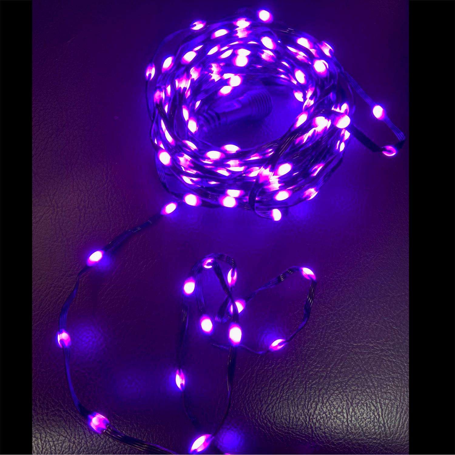 Celebrations Orange/Purple LED Prelit Halloween String Lights Ace