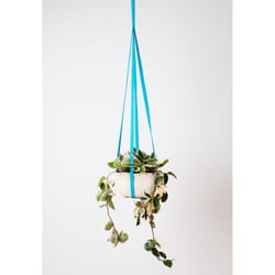 Primitive Planters Assorted Fabric 30 in. H Plant Hanger 1 pk