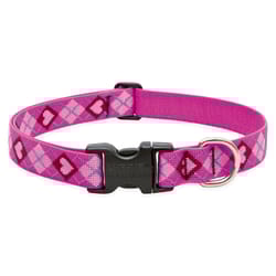 Lupine Pet Original Designs Multicolor Puppy Love Nylon Dog Adjustable Collar