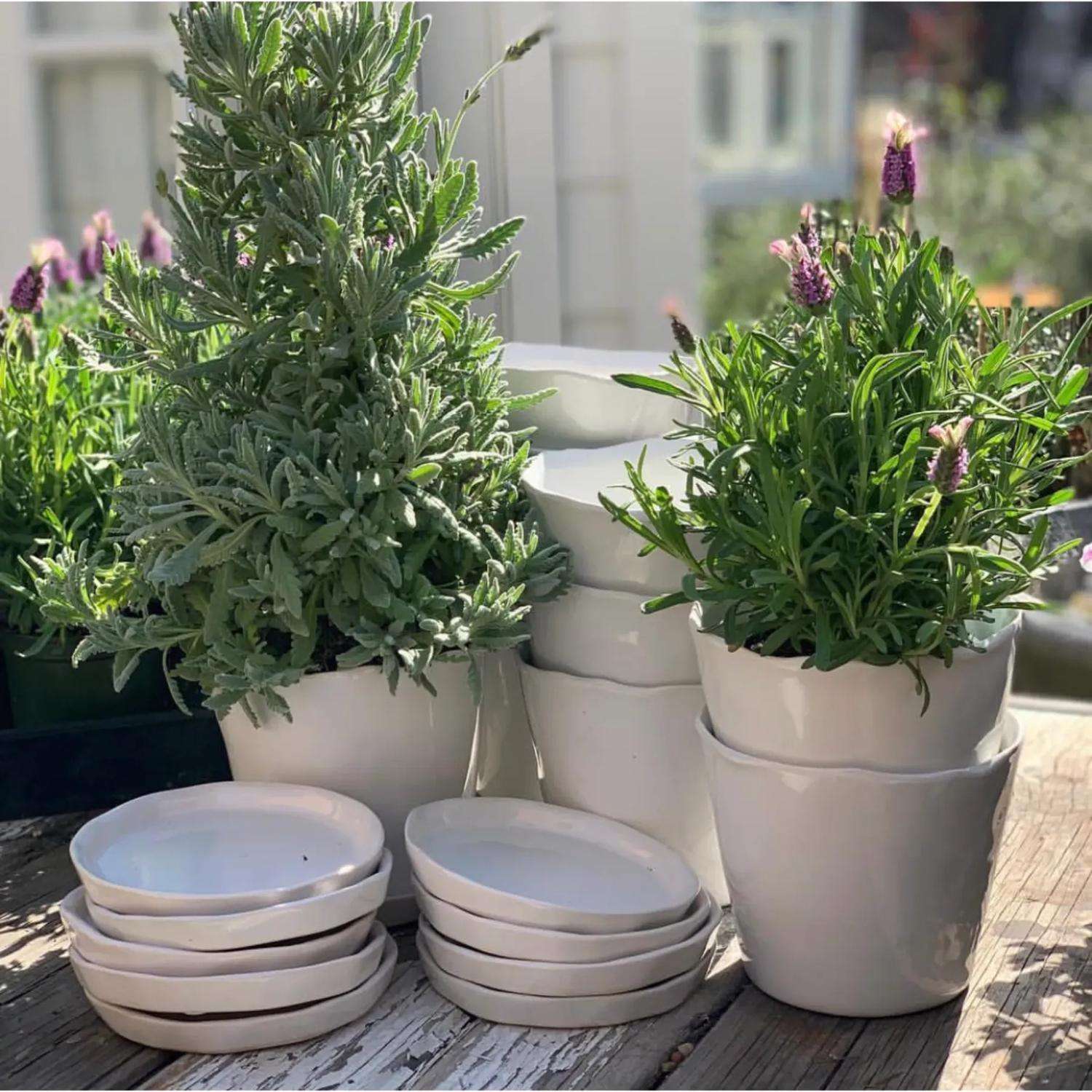 Chive Tika 5 in. D Ceramic Flower Pot White Mfr# BITPWH
