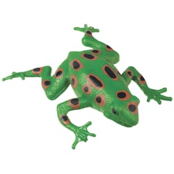 Toysmith Frog Squishimal Multicolored