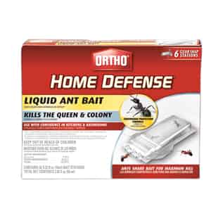 Ortho  Home Defense  Ant Bait Station  6 pk 