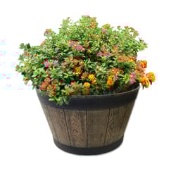 Misco 20.5 in. D Resin Planter Brown