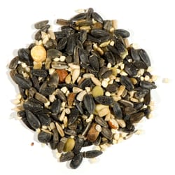 Nature's Nuts XtremeClean Assorted Species Black Oil Sunflower Seed Wild Bird Food 4 lb