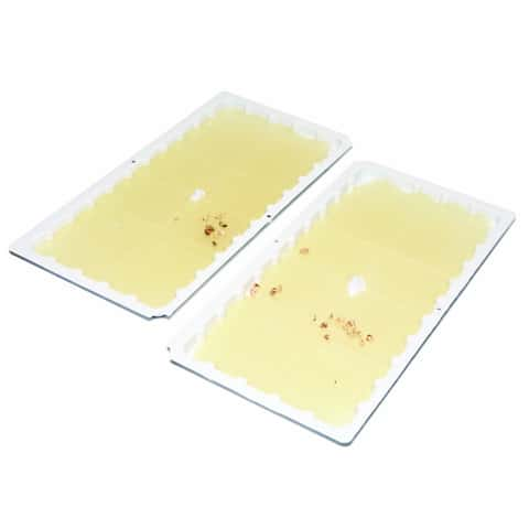 JT Eaton Stick-Em Pro Series Extra Large Glue Board Trap For Rodents and  Snakes 2 pk - Ace Hardware