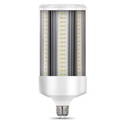 Feit Corn Cob E26 (Medium) LED Bulb Daylight 500 Watt Equivalence 1 pk