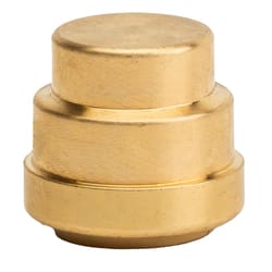 QuickFitting Push to Connect 3/4 in. PF in. Brass Cap