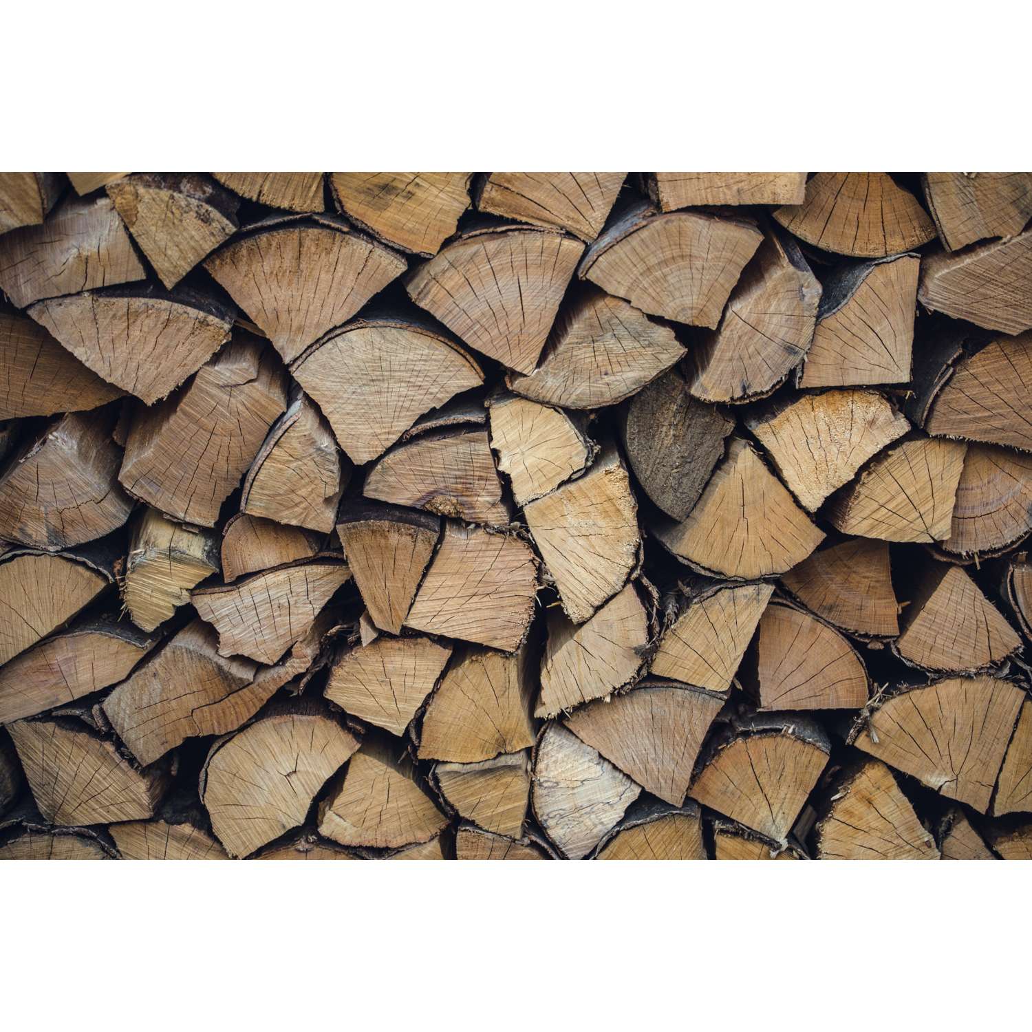 Glossary of Terms – Logs & Firewood Terminology