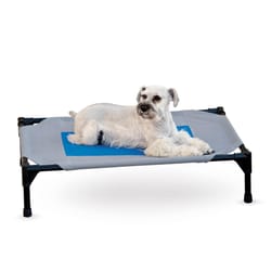 K&H Pet Products Blue Denier Fabric Coolin' Elevated Pet Bed 25 in. W X 32 in. L