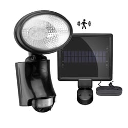 Classy Caps Black Solar Powered 0.2 W LED Security Light 1 pk