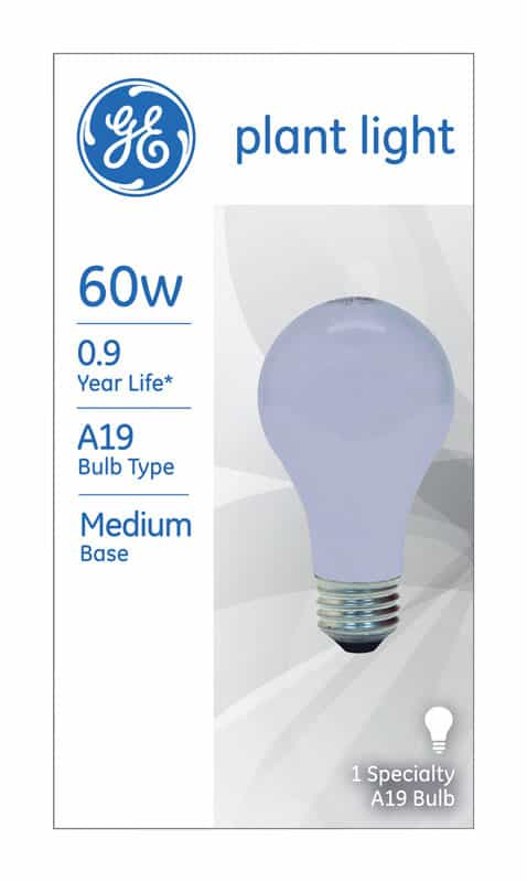 Ge 60 Watts A19 Decorative Incandescent Bulb E26 Medium Daylight