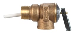 Cash Acme 3/4 in. Bronze Temperature and Pressure Relief Valve