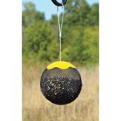 Songbird Essentials Songbird 7 cups Metal Mesh Feeder Bird Feeder