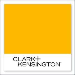 Clark+Kensington Yellow Finch 19D-5