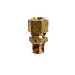 ATC 5/8 in. Compression X 1/8 in. D MPT Gold Brass Connector