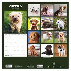 TF Publishing Puppies 2019 Calendar Fiber/Paper Laminate 1 pk