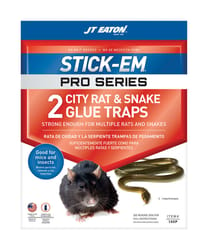 Rodent Sticky Trap Snags a Rat and a Lizard – Anole Annals