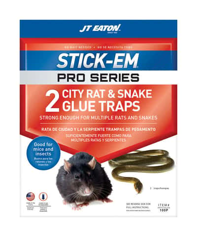 JT Eaton Stick-Em Pro Series Extra Large Glue Board Trap For Rodents and  Snakes 2 pk - Ace Hardware