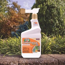 Bonide Concentrated Liquid Disease and Fungicide Control 16 oz