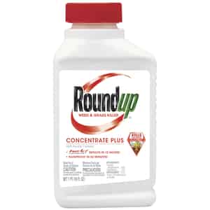 Roundup  Concentrate  Weed Killer  1 pt. 