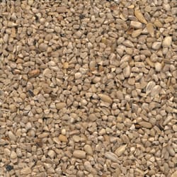 Ace Sunflower Chips Assorted Species Sunflower Sunflower Chips 3 lb