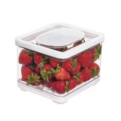InterDesign iDFresh 12 cups Clear Food Container and Lid 1 pk