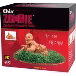 Chia Pet Zombie Dragging Drew Decorative Planter Clay 1 pk