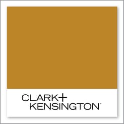 Clark+Kensington Veg Out 19B-7