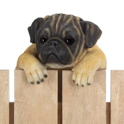 Summerfield Terrace Brown Polyresin 15 in. H X 7.75 in. L X 7 in. W Hanging Buddy Pug Wall Hanging D