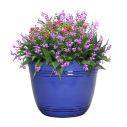 L&G Solutions 11 in. H X 14.5 in. W X 14.5 in. D X 14.5 in. D Polyresin Galileo Planter Cobalt