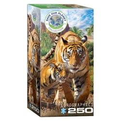 Eurographics Tigers Jigsaw Puzzle Multicolored 250 pc