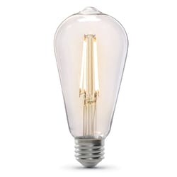 Feit ST19 E26 (Medium) LED Bulb Soft White 60 Watt Equivalence 1 pk