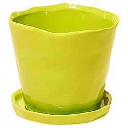 Chive Tika 5 in. D Ceramic Flower Pot Green Sheen