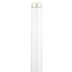 Westinghouse 30 W T12 36 in. L Fluorescent Bulb Cool White Linear 4100 K 1 pk