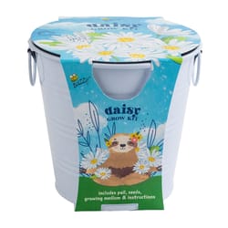 Buzzy Kids Flower Daisy Grow Kit 1 pk