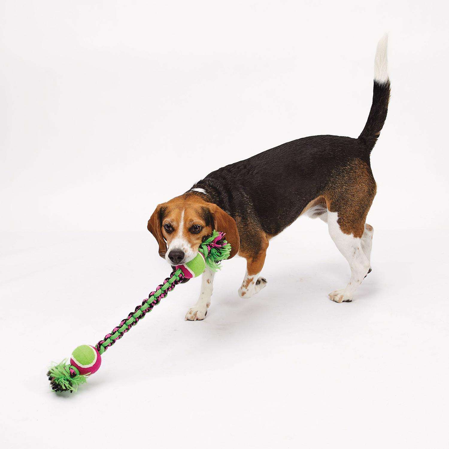 Pet Park Blvd Green Woven Paracord Rope