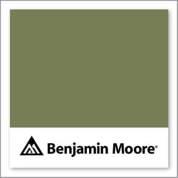 Benjamin Moore Oak Grove 489