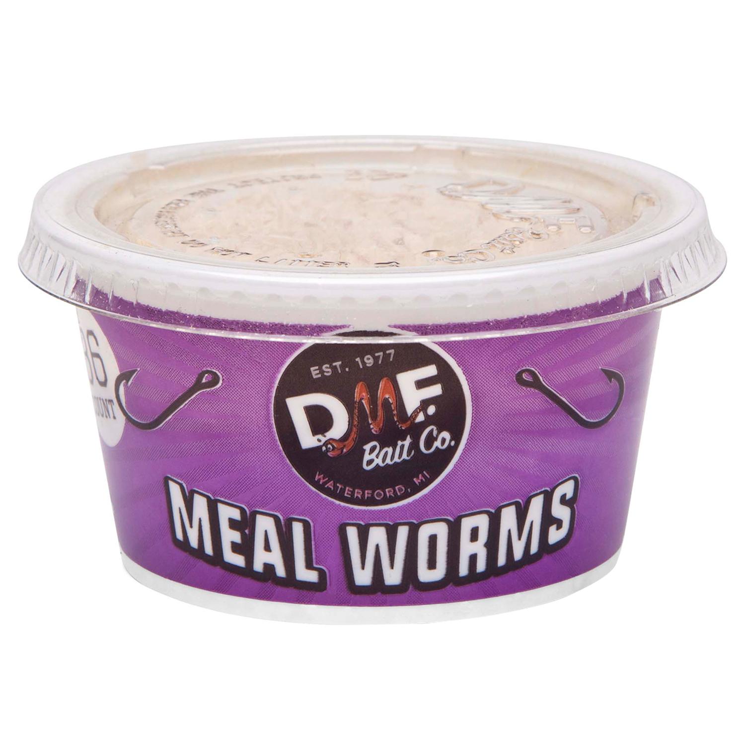 DMF Bait Co Meal Worms Fishing Bait - Ace Hardware
