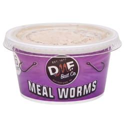DMF Bait Co Meal Worms Fishing Bait