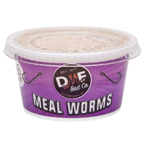 DMF Bait Co Meal Worms Fishing Bait - Ace Hardware
